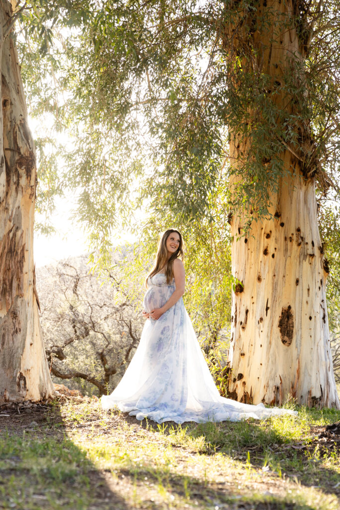 Maternity session. Women standing in between trees holding her bump.